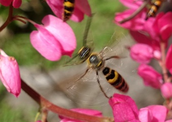 DSC07752b